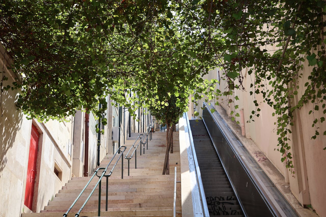 Scenic view of a staircase and escalator lined with lush greenery in Lisbon, Portugal.